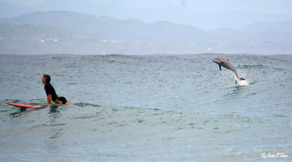 Maria Bru haciendo Surf en Byron Bay